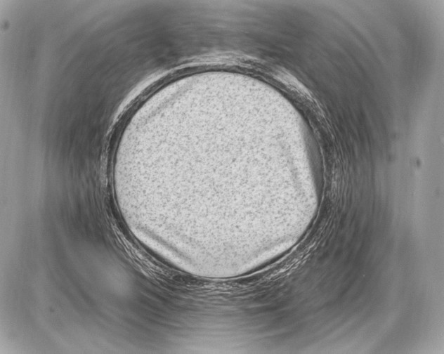 X0000085811216200704091558