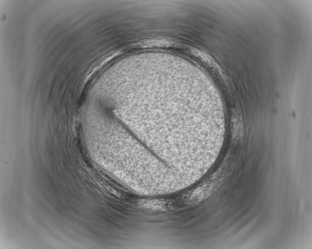 X0000085811217200704091558