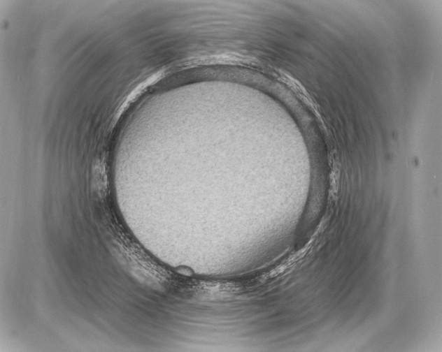 X0000085811218200704091558