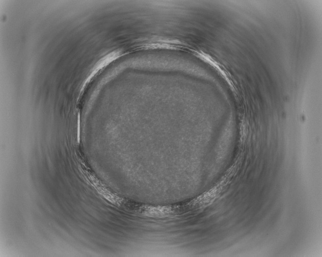 X0000085811219200704091558