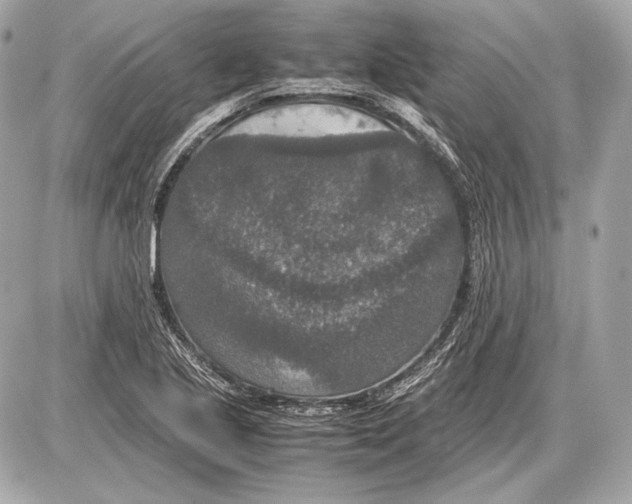 X0000085811221200704091558