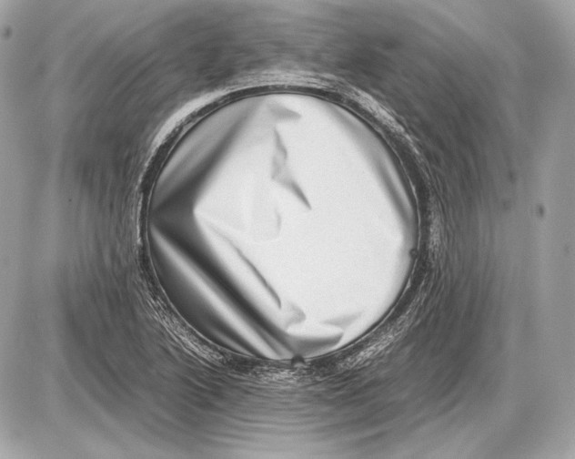 X0000085811222200704091558