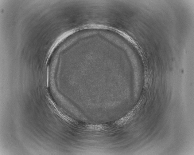 X0000085811223200704091558