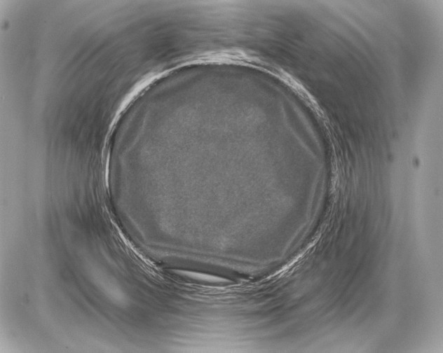 X0000085811224200704091558