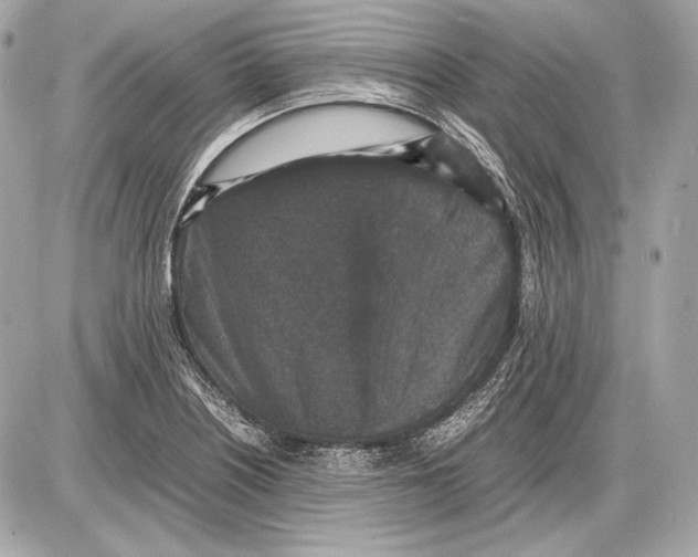 X0000085811226200704091558