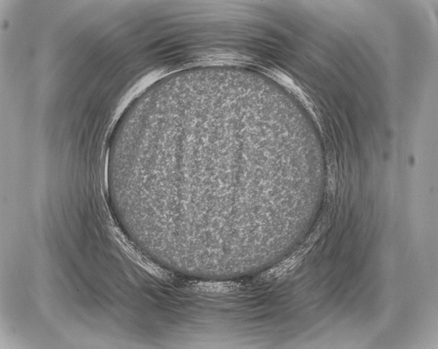 X0000085811227200704091558