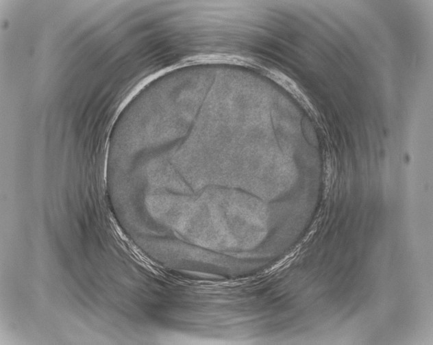 X0000085811228200704091558