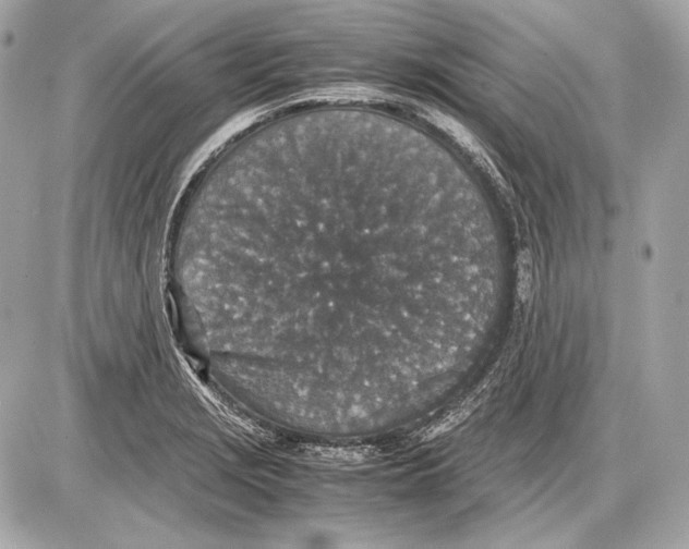 X0000085811229200704091558