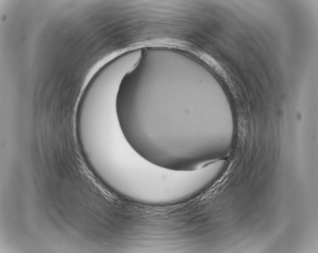 X0000085811230200704091558