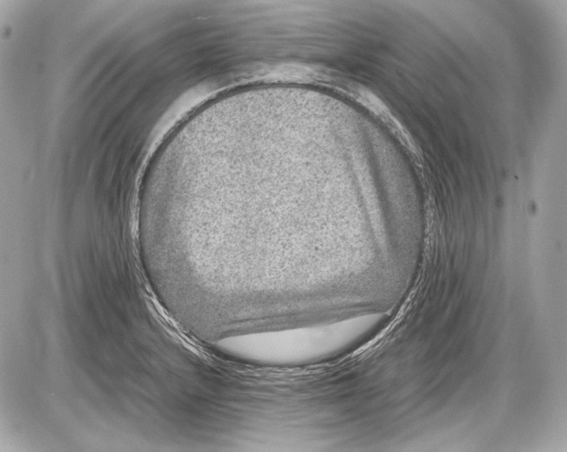 X0000085811232200704091558