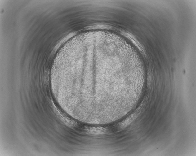 X0000085811233200704091558