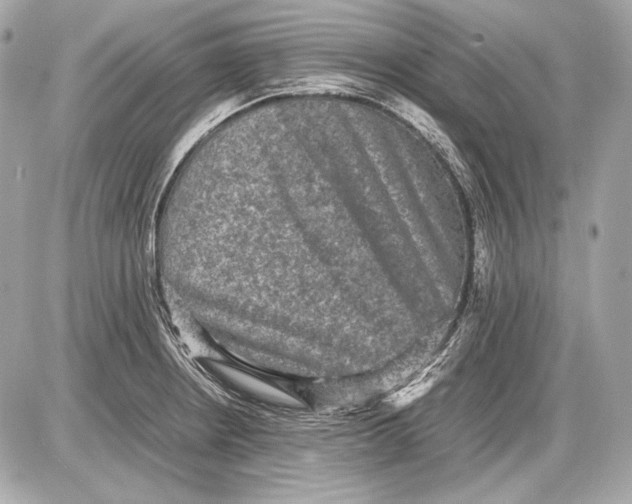 X0000085811234200704091558