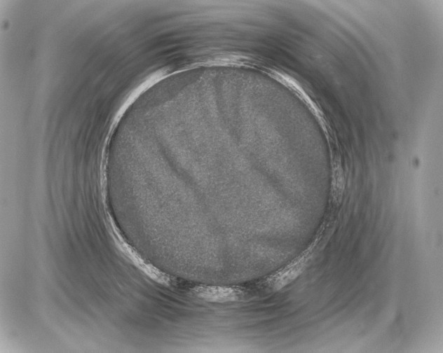 X0000085811235200704091558