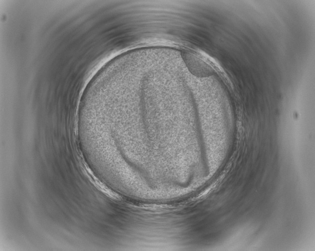 X0000085811236200704091558