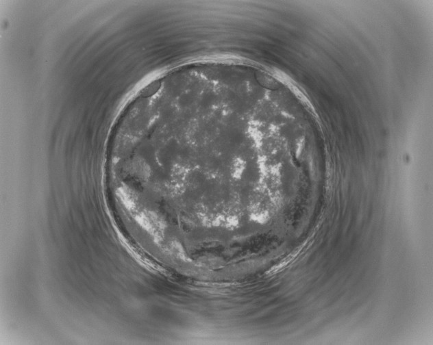 X0000085811237200704091558