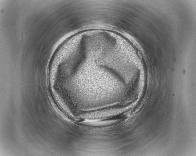 X0000085811238200704091558