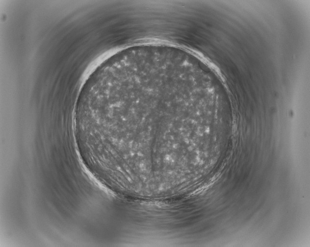 X0000085811239200704091558