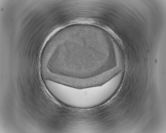 X0000085811240200704091558