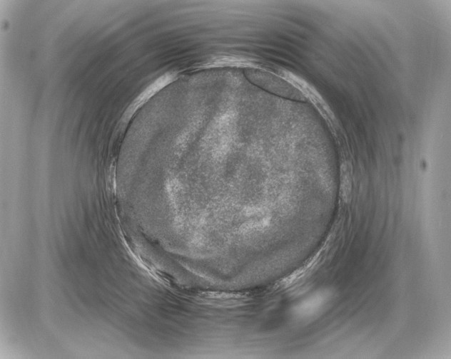 X0000085811241200704091558