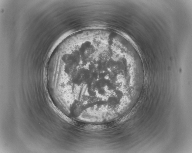 X0000085811243200704091558