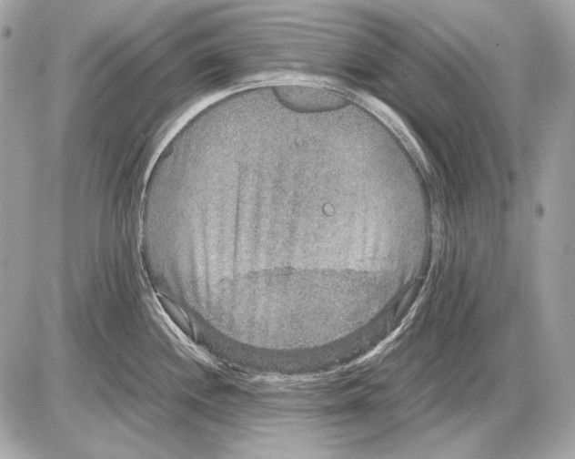 X0000085811244200704091558