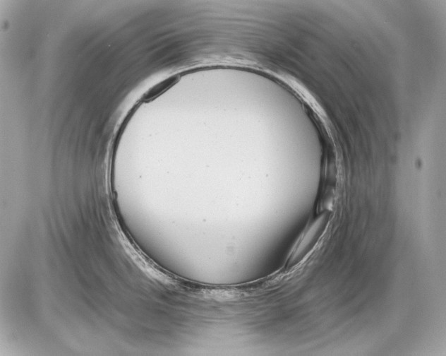 X0000085811246200704091558