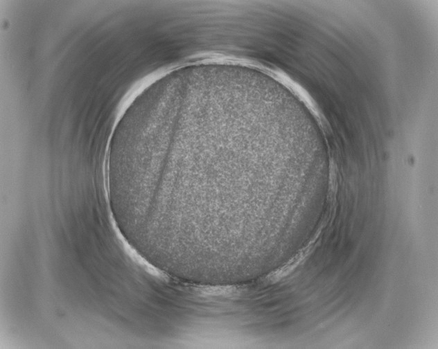 X0000085811247200704091558