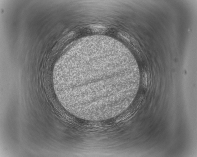 X0000085811249200704091557