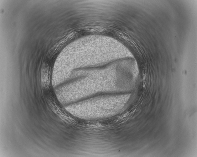 X0000085811250200704091557