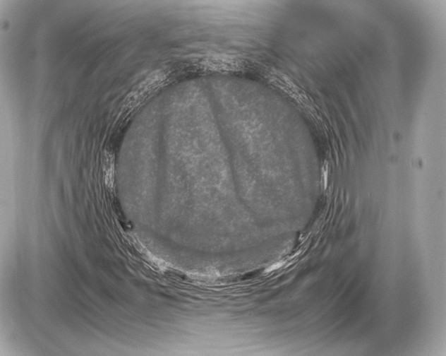 X0000085811251200704091557