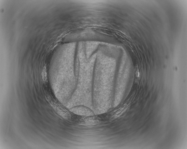 X0000085811252200704091557