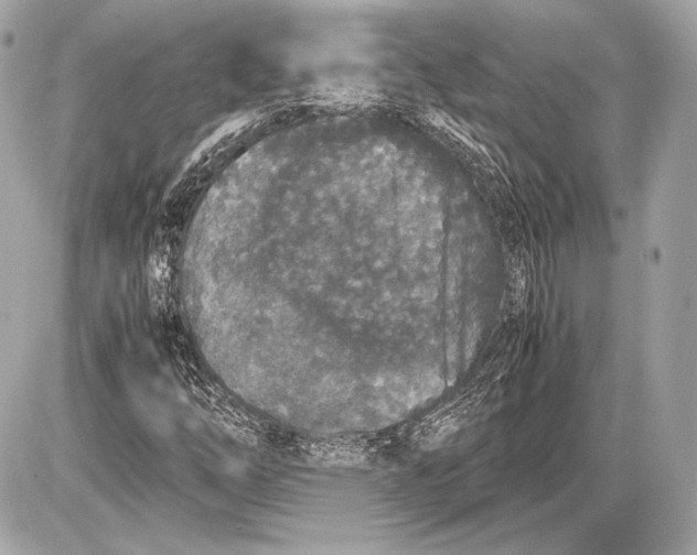 X0000085811254200704091557