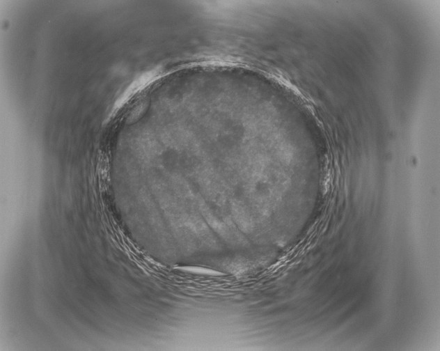 X0000085811255200704091557