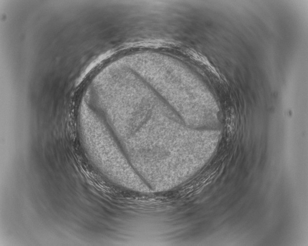 X0000085811256200704091557