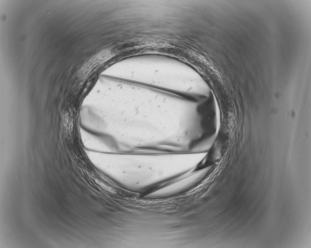 X0000085811257200704091557