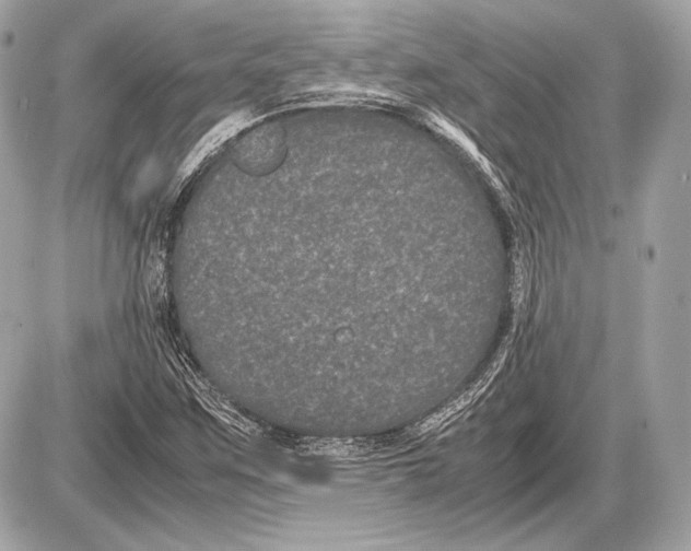 X0000085811259200704091557