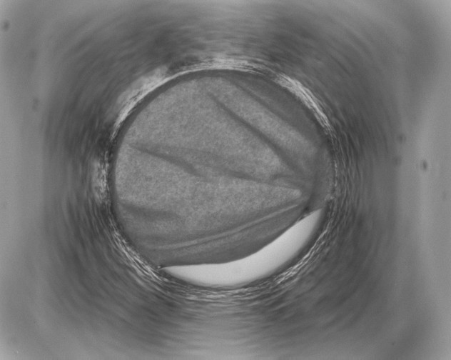 X0000085811260200704091557