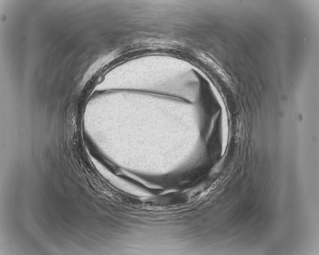 X0000085811261200704091557