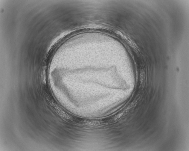 X0000085811262200704091557