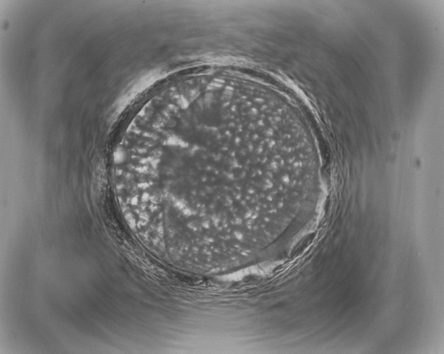 X0000085811263200704091557