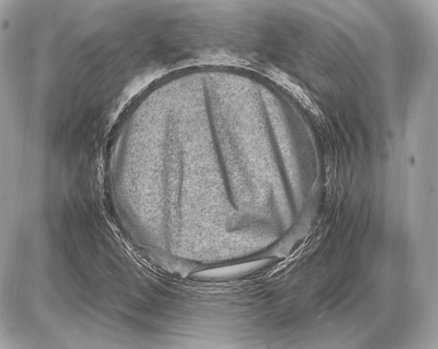 X0000085811264200704091557