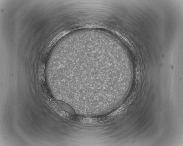 X0000085811265200704091557