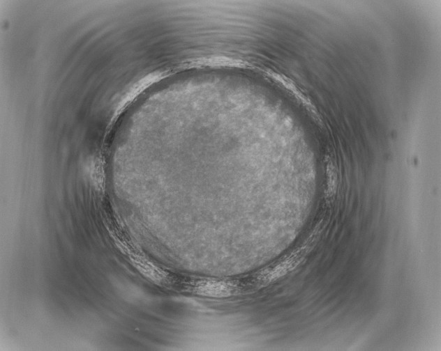 X0000085811266200704091557