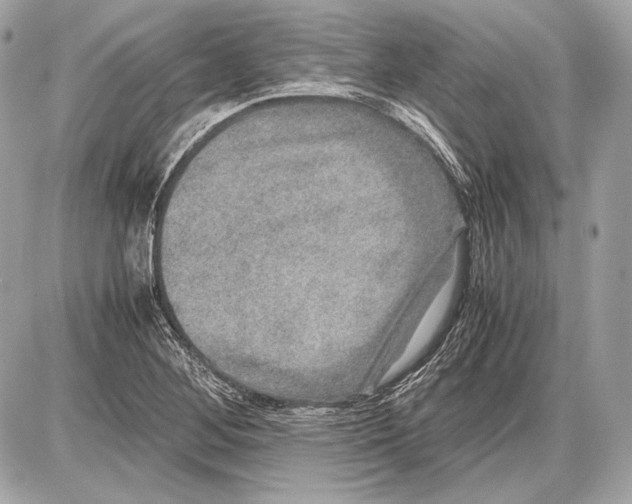 X0000085811268200704091557