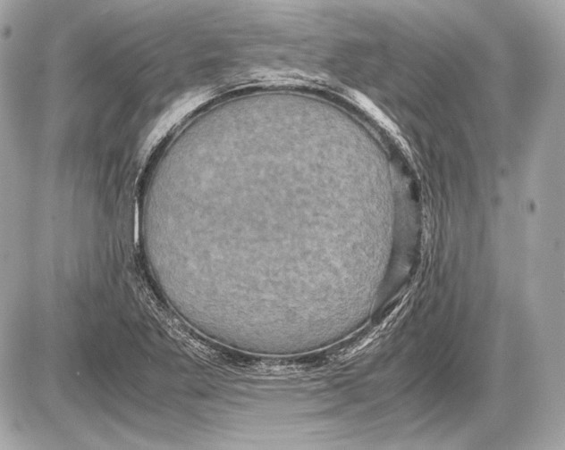 X0000085811269200704091557