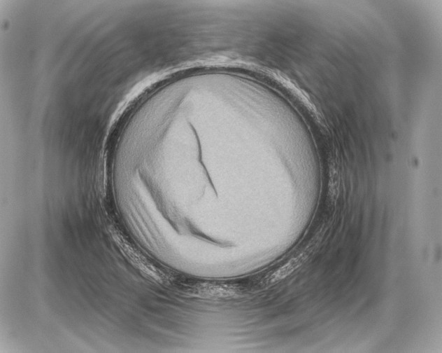 X0000085811270200704091557