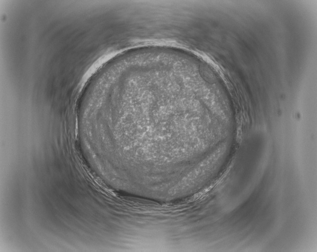 X0000085811271200704091557