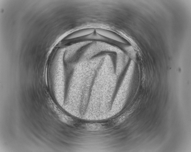 X0000085811272200704091557