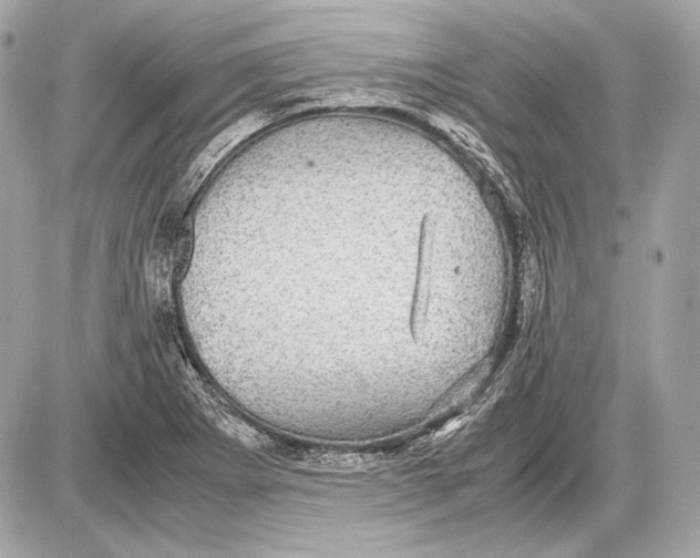 X0000085811273200704091557