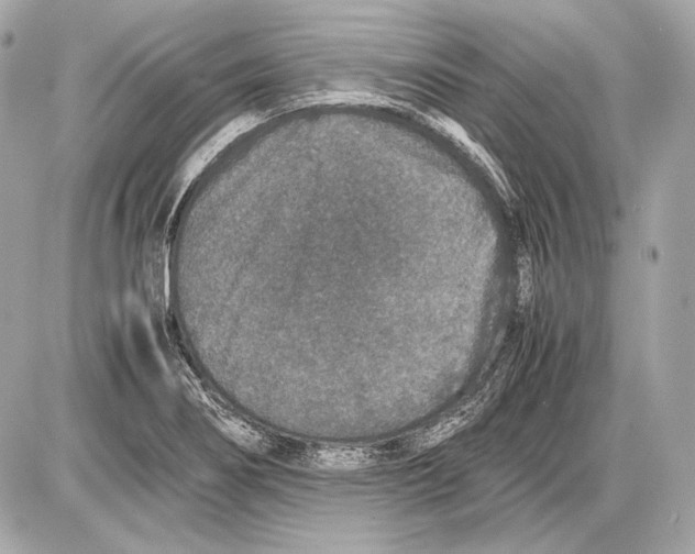 X0000085811274200704091557